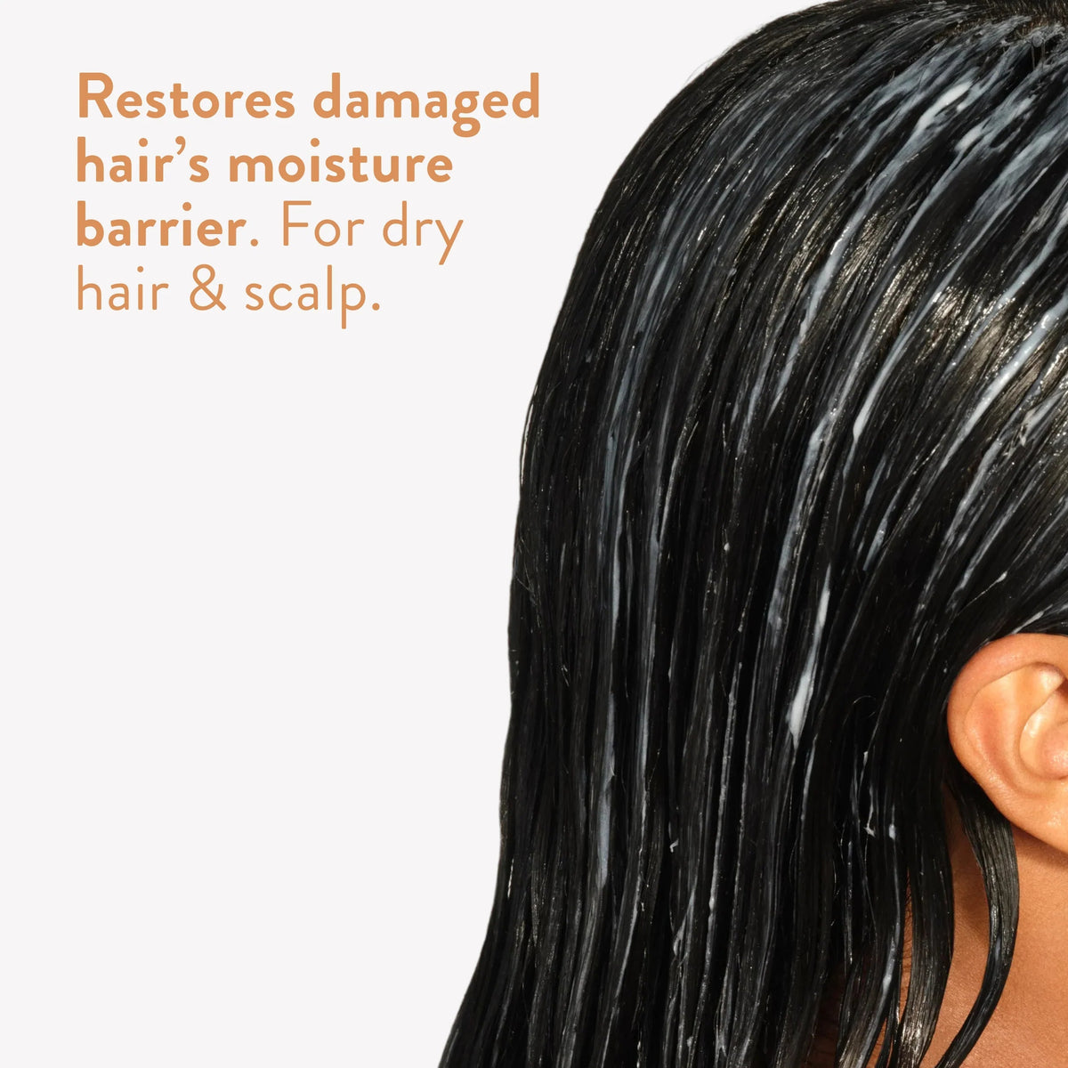 Sensitive Series: Mini Conditioner